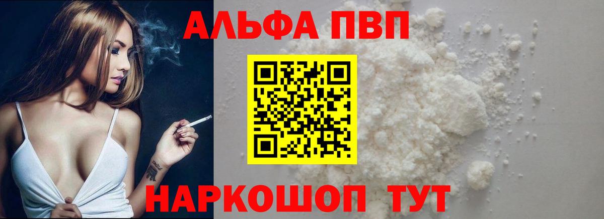 Альфа ПВП СК КРИС Гатчина