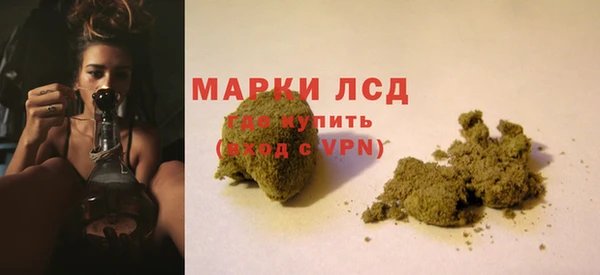 трава Беломорск