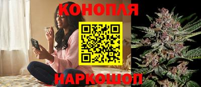 сатива Волжский