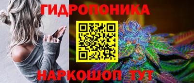 сатива Волжский