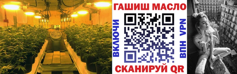 kraken рабочий сайт  Гатчина  ТГК Wax 