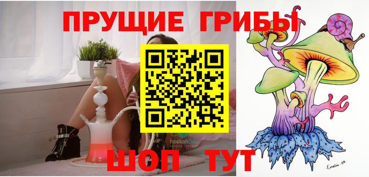 Гатчина  Галлюциногенные грибы ЛСД  Вход с VPN 