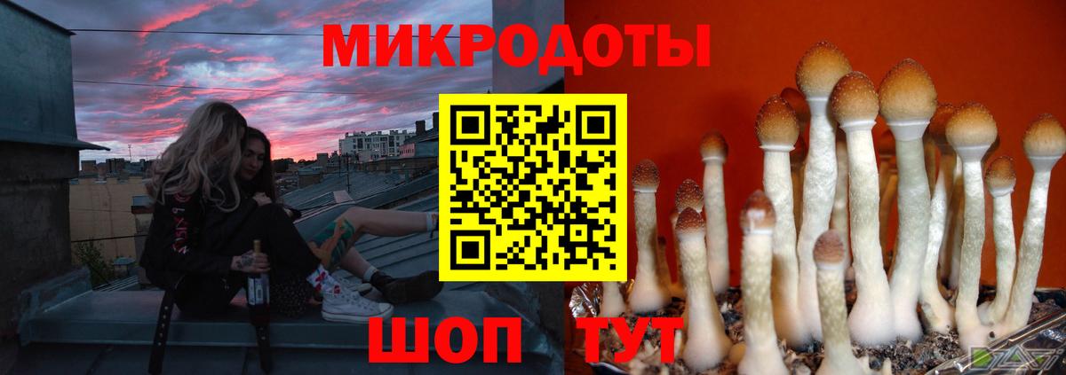 Галлюциногенные грибы мухоморы Гатчина